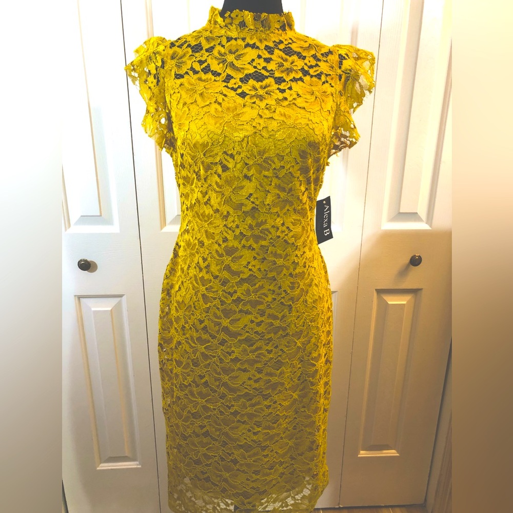 Alexa B Nites Gold lace dress